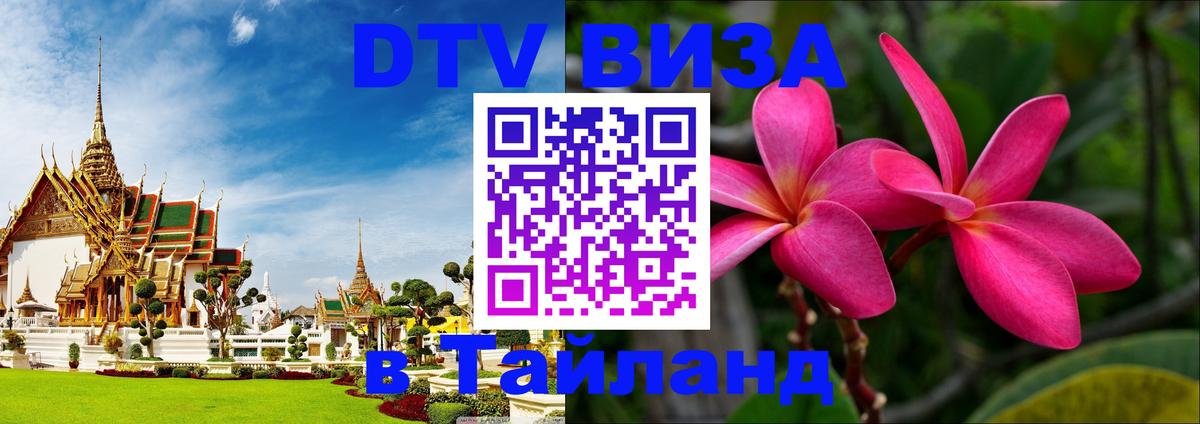 Сколько стоит DTV виза — актуальные цены, оформление даже без документов - 19.11.2025 